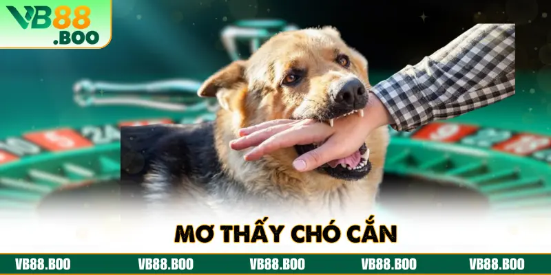 Lý Giải Giấc Mơ Thấy Chó Cắn Với Những Con Số May Mắn