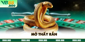 Giải Mã Giấc Mơ Thấy Rắn Kèm Con Số May Mắn Rinh Giải Lớn